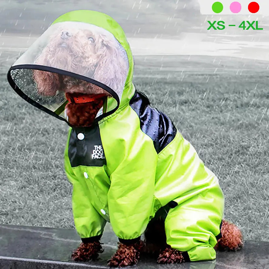 🐾 ¡Protege a tu mejor amigo de la lluvia con nuestra chaqueta impermeable para perros! 🌧️